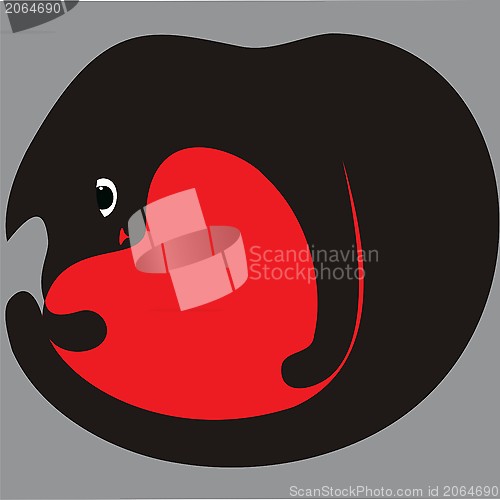 Image of red heart and black cat