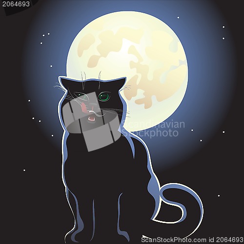 Image of nocturnal black cat on black background