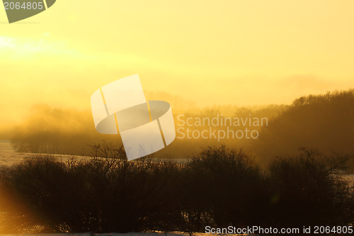 Image of beautiful sunset in the woods
