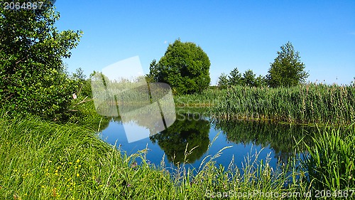 Image of Picturesque summer lake