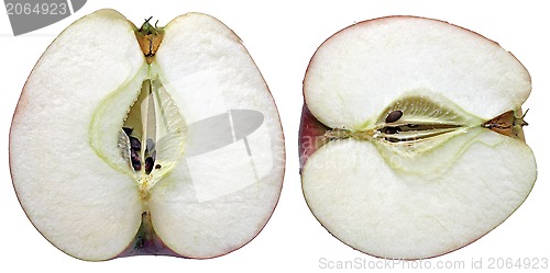 Image of Juicy Apple