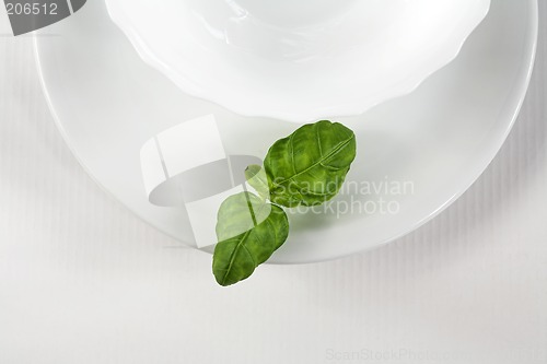 Image of White and green