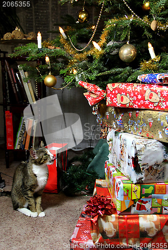 Image of Christmas gifts and funny cat