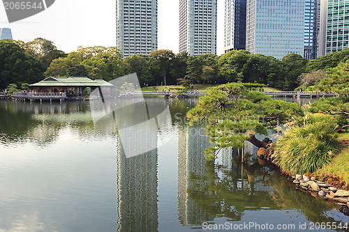 Image of Hamarikyu Zen  garden