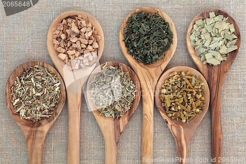 Image of Medicinal Herbs