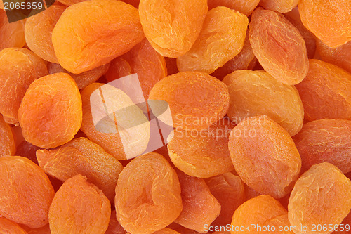 Image of Apricot Fruit