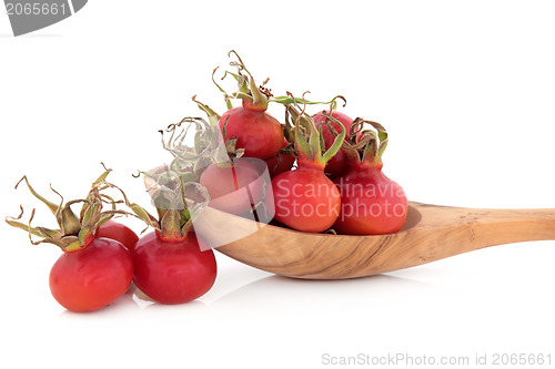 Image of Rose Hip Fruit