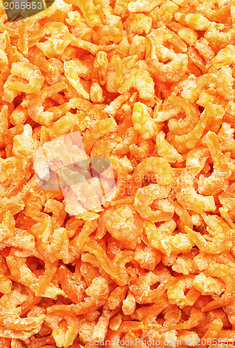 Image of dry shrimp