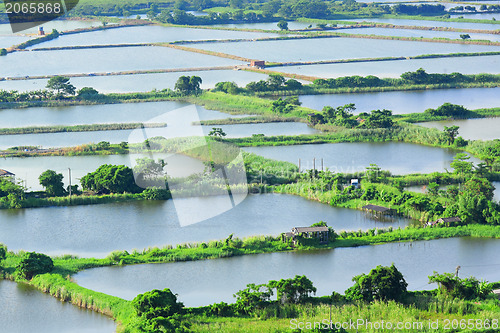 Image of Fish hatchery pond