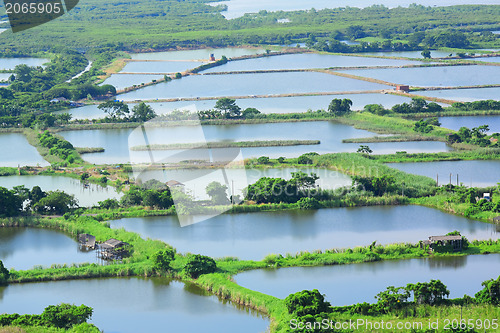 Image of Fish hatchery pond