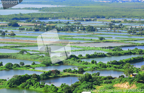 Image of Fish hatchery pond