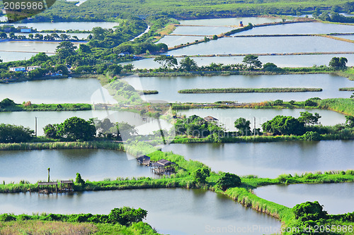 Image of Fish Hatchery