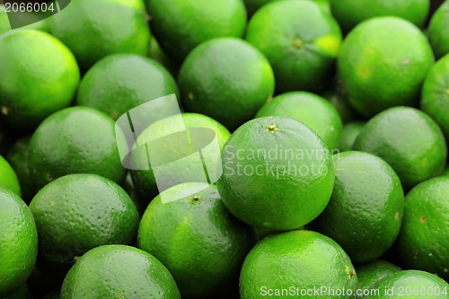 Image of lime citrus fruit