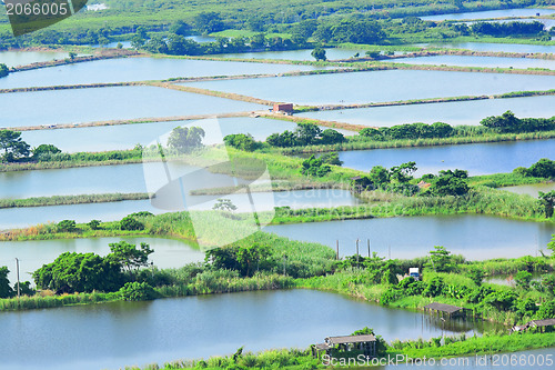 Image of Fish hatchery pond