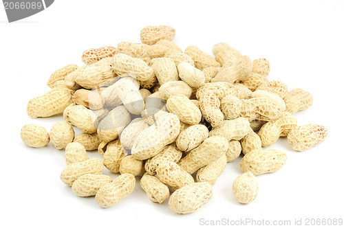 Image of Peanut isolated on white background 