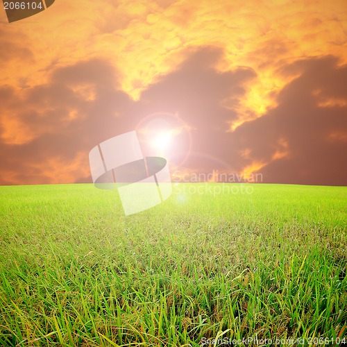 Image of A photo of a blue sky and a green field 