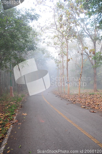 Image of An image of a road covered in fog 