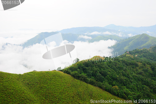 Image of morning mist cover tree and mountain 