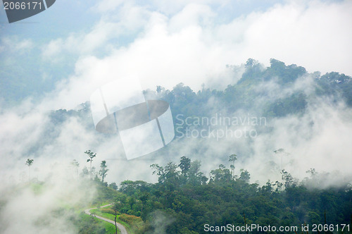 Image of morning mist cover tree and mountain 