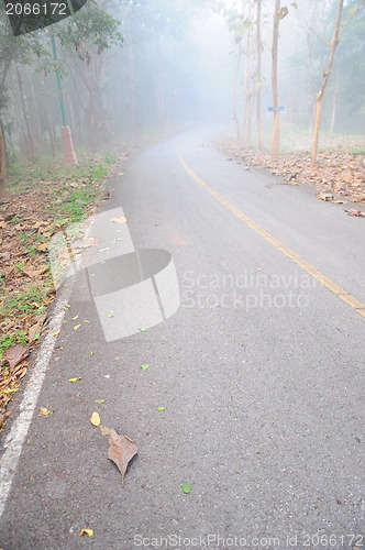 Image of An image of a road covered in fog 
