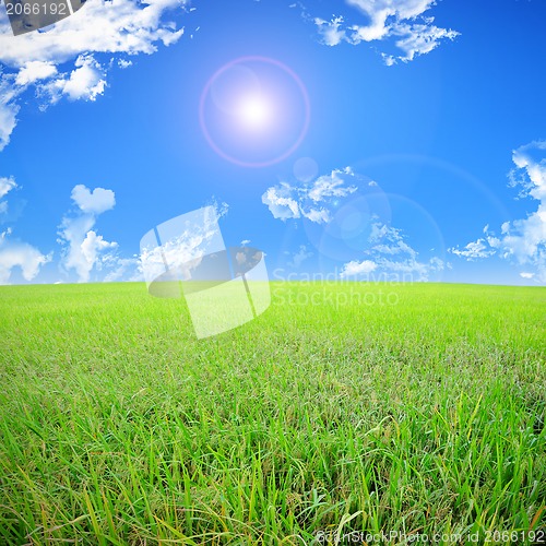 Image of A photo of a blue sky and a green field 