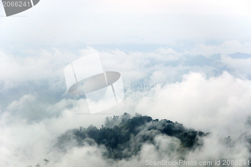 Image of morning mist cover tree and mountain 
