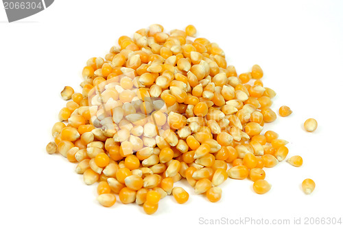 Image of Pile of corn seeds isolated on white 