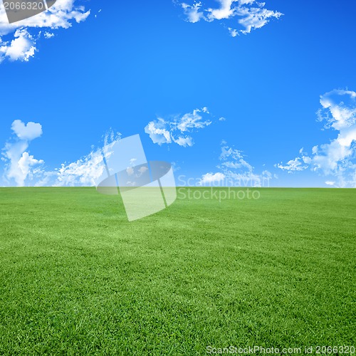 Image of A photo of a blue sky and a green field 