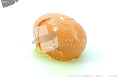 Image of eggs. Isolated on white background