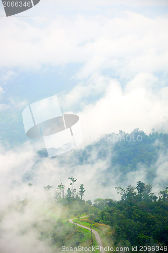 Image of morning mist cover tree and mountain 