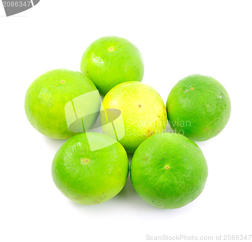 Image of Lime on a white background 