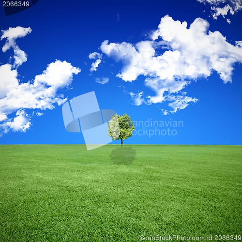 Image of A photo of a blue sky and a green field 