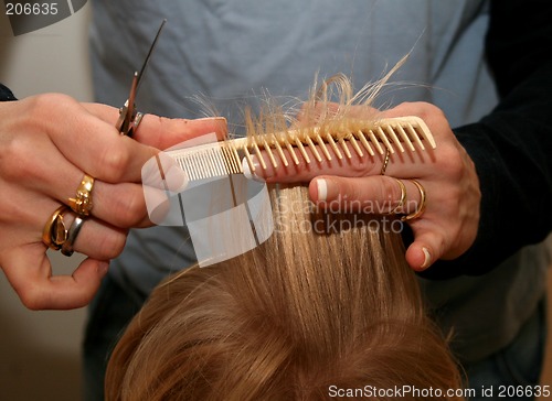 Image of Haircutting