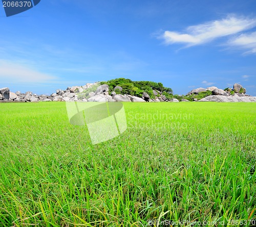 Image of A photo of a blue sky and a green field 