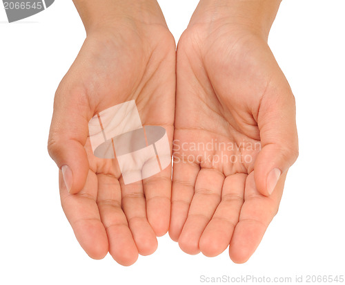 Image of Cupped hands of young woman - isolated on white background