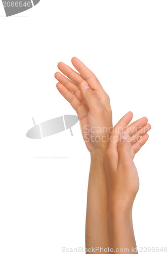 Image of Beautiful hands of young woman, body care - isolated on white background