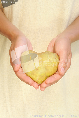 Image of Hands of young woman holding potato in heart shape