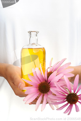 Image of Hands of young woman holding essential oil and fresh coneflowers