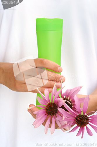 Image of Hands of young woman holding cosmetics bottle and fresh coneflowers