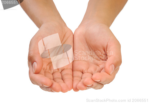 Image of Cupped hands of young woman - isolated on white background
