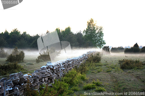 Image of Wlectric fence