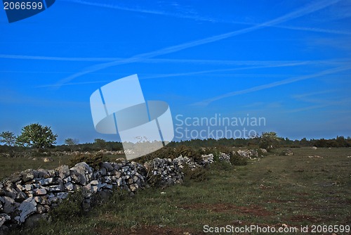 Image of Grassland