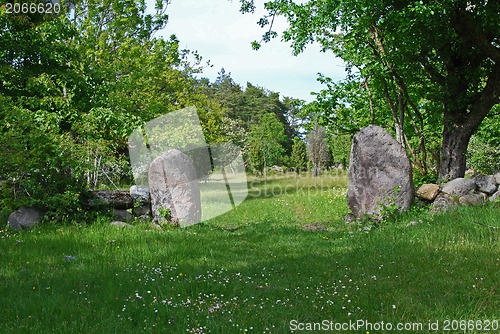 Image of green nature