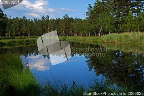 Image of Lake in forest