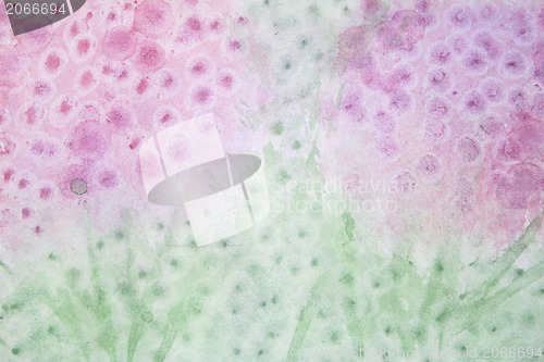 Image of Abstract watercolor flowers background on paper texture