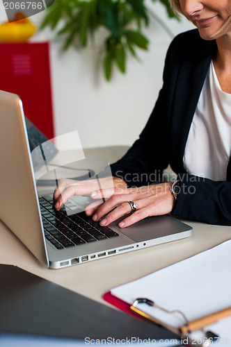 Image of Cropped image of female manager working on laptop
