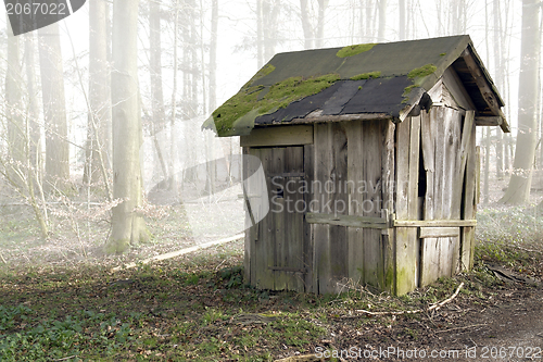 Image of old wooden shack