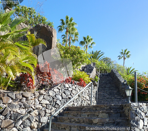 Image of La Gomera