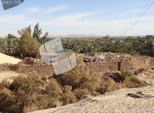 Image of around Bahariya Oasis