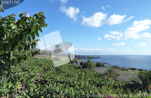 Image of La Gomera